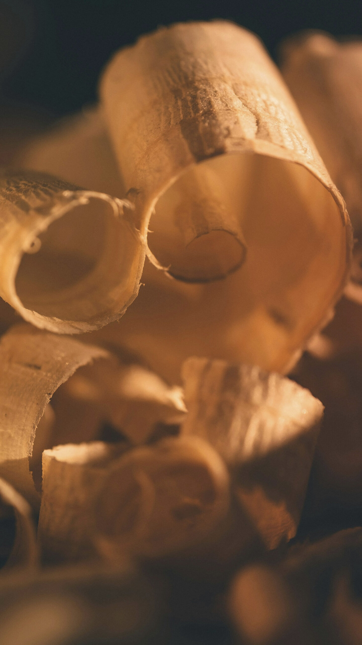 Documenting Life Through the Lens and Craft